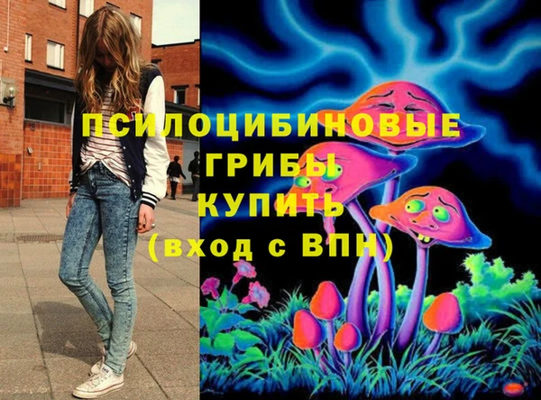 PSILOCYBIN Богородицк